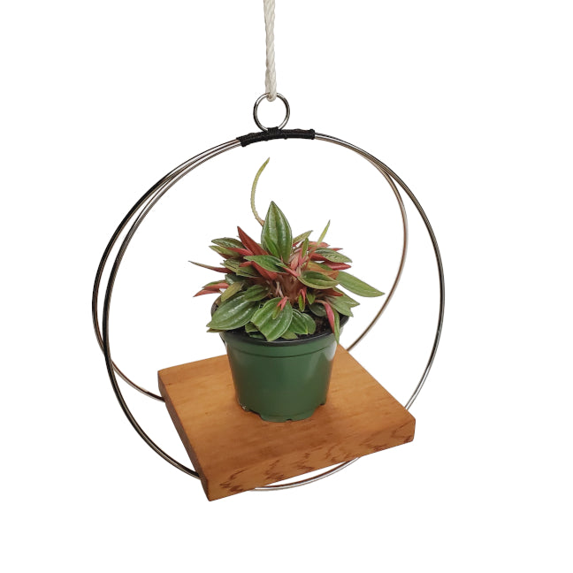 metal hanging plant rack silver minimalist hanging plant shelf – Arrows Aim Greenhouse & Supply Co