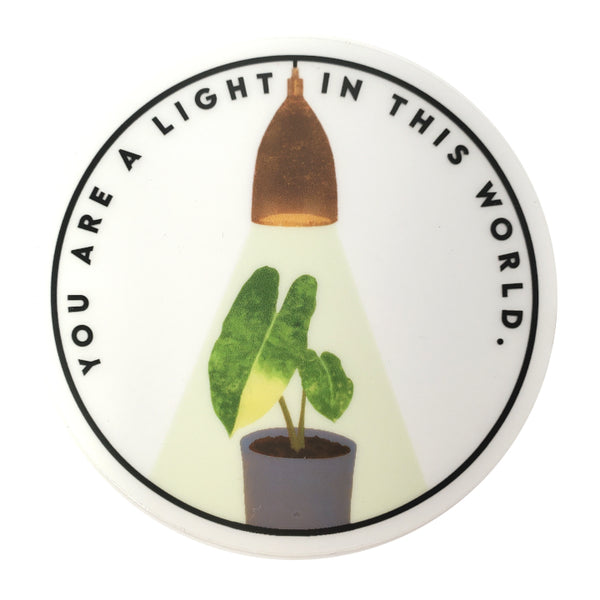 a light in this world sticker