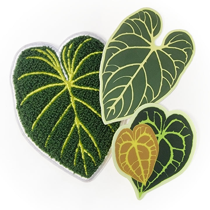 Arrowroot Sticker Stickers & Patches – Arrows Aim Greenhouse & Supply Co.