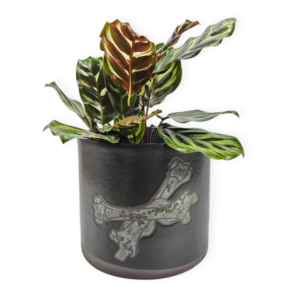 horse plant pot onyx horse femur pot – Arrows Aim Greenhouse & Supply Co
