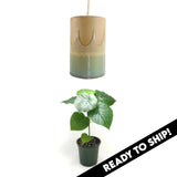 ocean petal pendant grow light