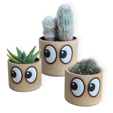 bombastic side eye pot
