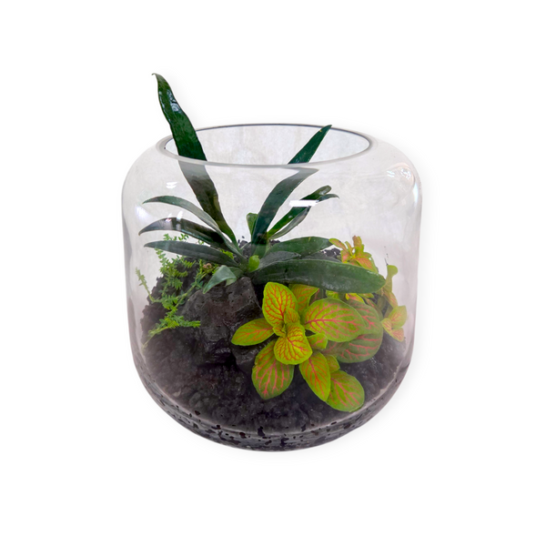 Terrarium Workshop