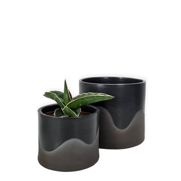trippy plant pots onyx trippy drip pot