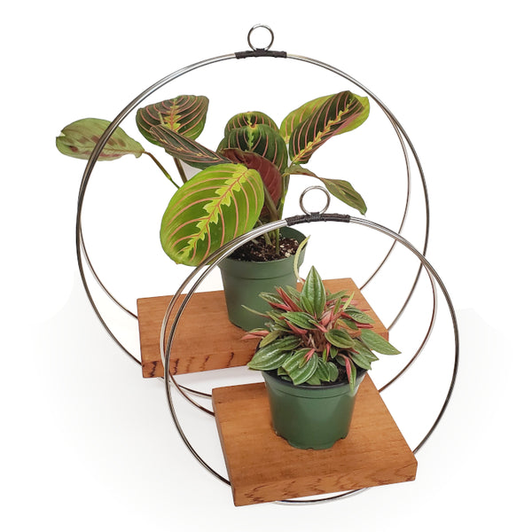 hanging metal plant stand silver minimalist hanging plant shelf – Arrows Aim Greenhouse & Supply Co