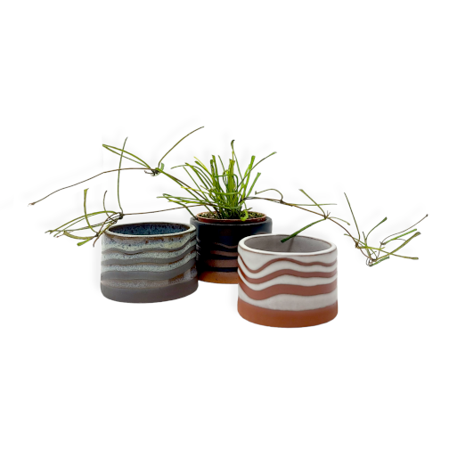 foothills mini pot