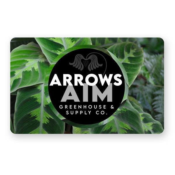 arrows aim gift card
