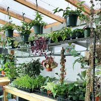 personal greenhouse shopping appointment