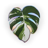 monstera albo variegata sticker